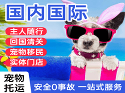 萨尔图机场托运国际宠物托运 【国